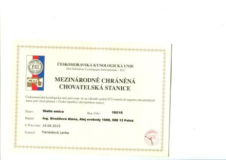 Welpen Curly Coated Retriever-lockig