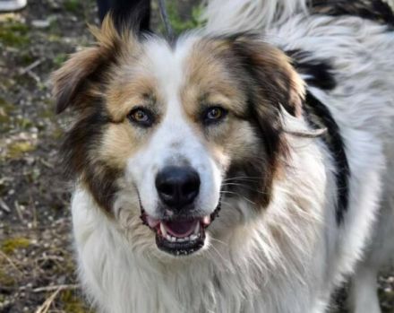 Hilfst du Paloma beim Auspacken von ihrem Rucksack?