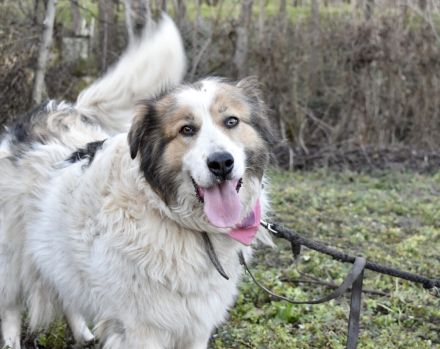 Hilfst du Paloma beim Auspacken von ihrem Rucksack?
