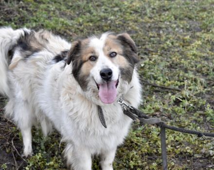 Hilfst du Paloma beim Auspacken von ihrem Rucksack?