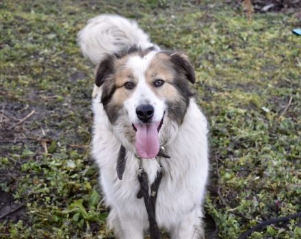 Hilfst du Paloma beim Auspacken von ihrem Rucksack?