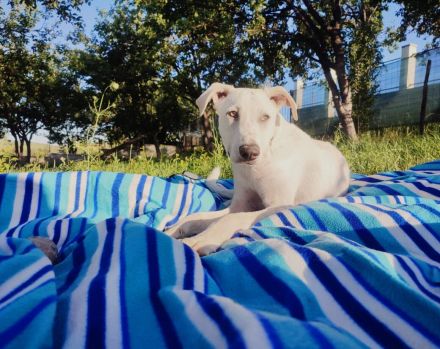 Wer zeigt dem süßen Yuri das Leben?