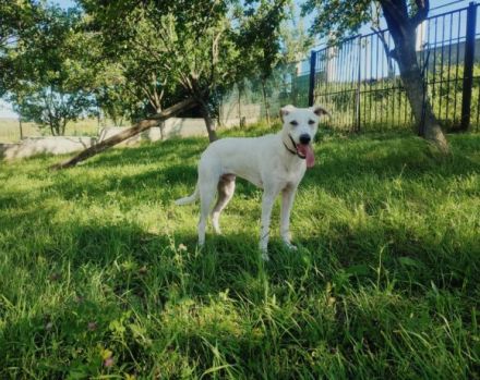 Wer zeigt dem süßen Yuri das Leben?