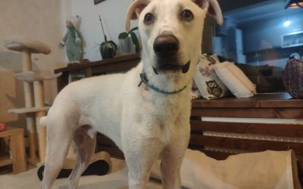 Wer zeigt dem süßen Yuri das Leben?