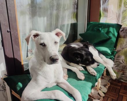 Wer zeigt dem süßen Yuri das Leben?