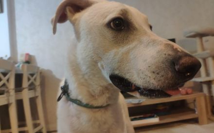 Wer zeigt dem süßen Yuri das Leben?