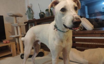 Wer zeigt dem süßen Yuri das Leben?