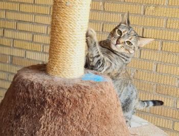 Yuno, Einzelprinzessin