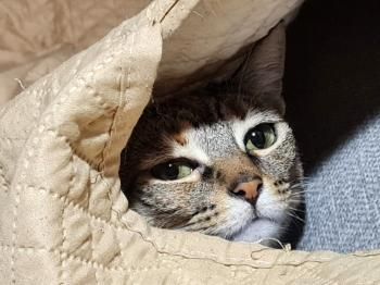 Yuno, Einzelprinzessin