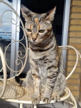 Yuno, Einzelprinzessin