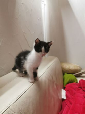 Total suesse und verspielte