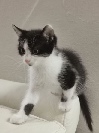 Total suesse und verspielte