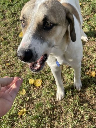 Menios auf der Suche nach Liebe und Geborgenheit