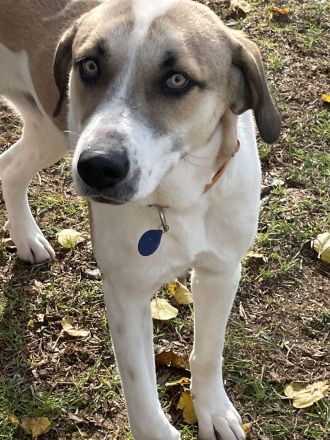 Menios auf der Suche nach Liebe und Geborgenheit