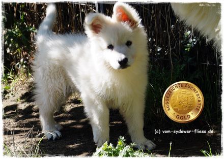 Django sucht noch seine zukünftige Familie