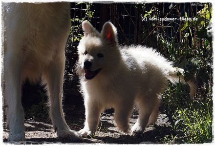Django sucht noch seine zukünftige Familie