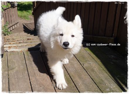 Django sucht noch seine zukünftige Familie