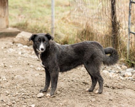 Dora sucht sehnsüchtig ihr eigenes Zuhause