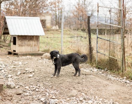Dora sucht sehnsüchtig ihr eigenes Zuhause