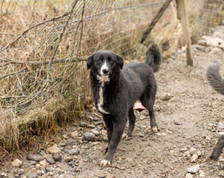 Dora sucht sehnsüchtig ihr eigenes Zuhause