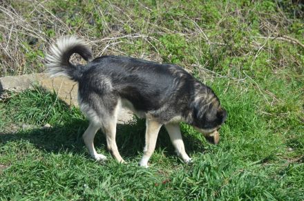 MYRA sehnt sich nach einer lieben Familie
