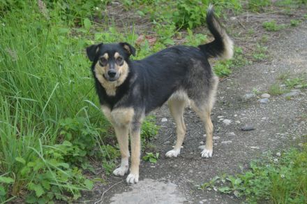 MYRA sehnt sich nach einer lieben Familie