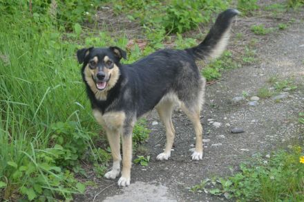 MYRA sehnt sich nach einer lieben Familie