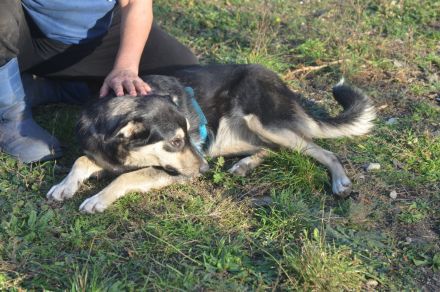 MYRA sehnt sich nach einer lieben Familie