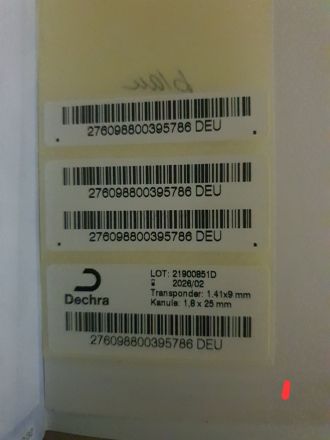 Altdeutscher Hütehund