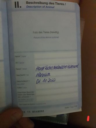 Altdeutscher Hütehund