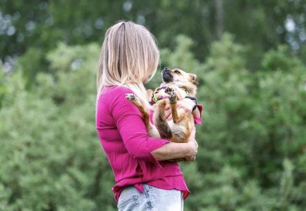 Süße Buba sucht Körbchen