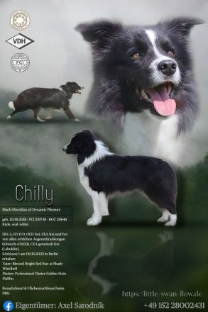 Black Obscidian of Dynamic Pleasure (Chilly)