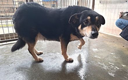 Die schüchterne Thuja sucht ihren sicheren Hafen