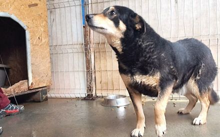 Die schüchterne Thuja sucht ihren sicheren Hafen