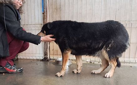 Die schüchterne Thuja sucht ihren sicheren Hafen