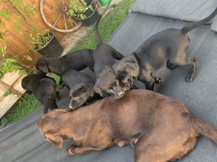 Wir dürfen ausziehen