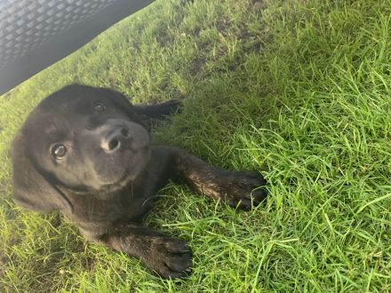 Wir dürfen ausziehen