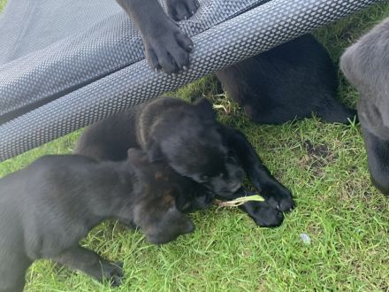 Wir dürfen ausziehen