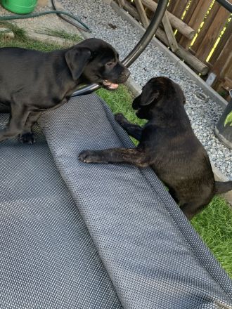 Wir dürfen ausziehen