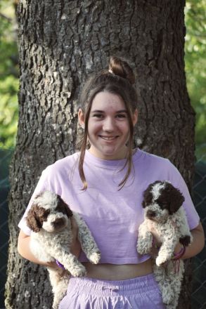 Lagotto Romagnolo Welpen