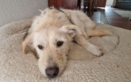 Schenkst du Jackpot einen Platz in deinem Herzen?