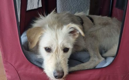 Schenkst du Jackpot einen Platz in deinem Herzen?