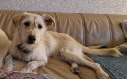 Schenkst du Jackpot einen Platz in deinem Herzen?