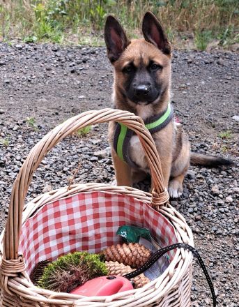 Wunderschöne Kleine Prinzessin Luna