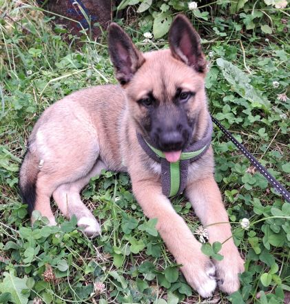 Wunderschöne Kleine Prinzessin Luna