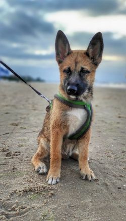 Wunderschöne Kleine Prinzessin Luna