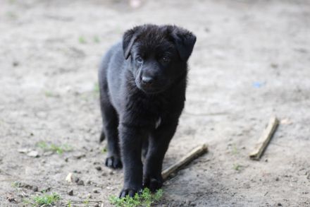 5 kleine Entdecker möchten in die große Welt