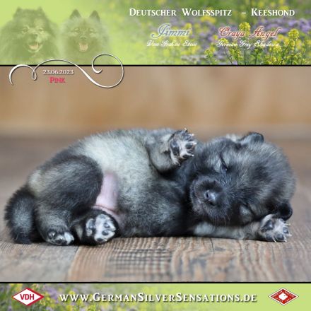 German Silver Sensations