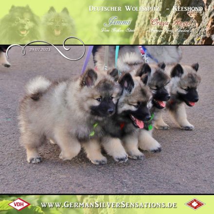 German Silver Sensations