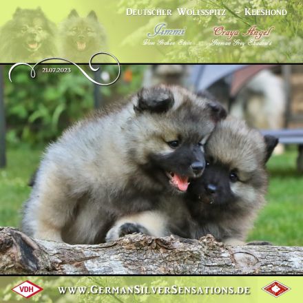 German Silver Sensations